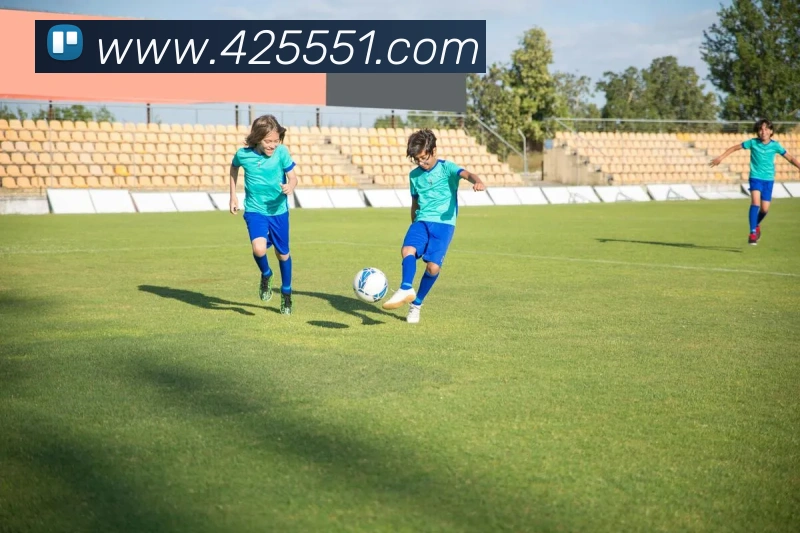 多媒体互动体验